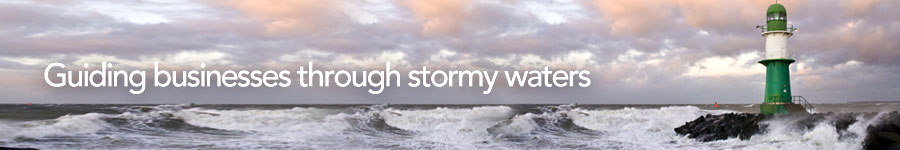 Guiding businesses through stormy waters